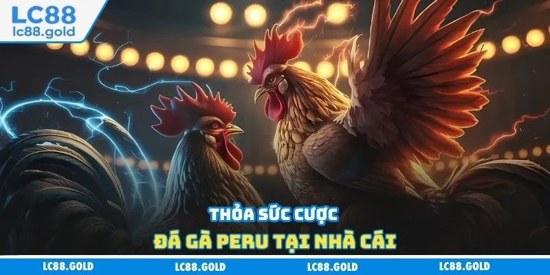 Thỏa sức cược đá gà Peru tại nhà cái