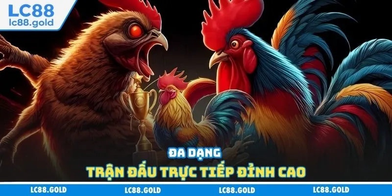 Đa dạng trận đấu trực tiếp đỉnh cao