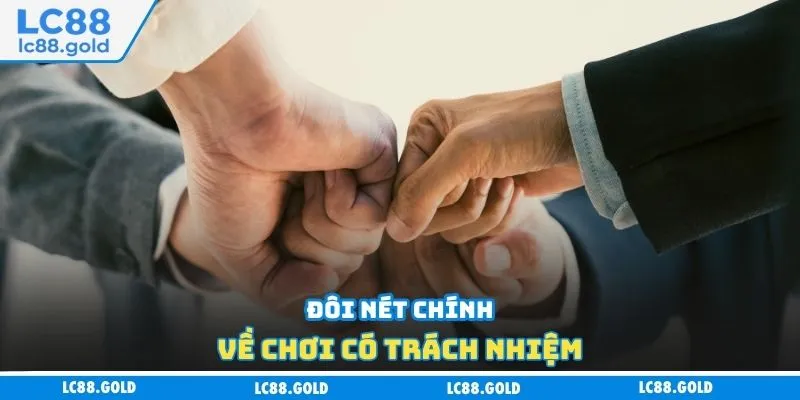 Đôi nét chính về chơi có trách nhiệm