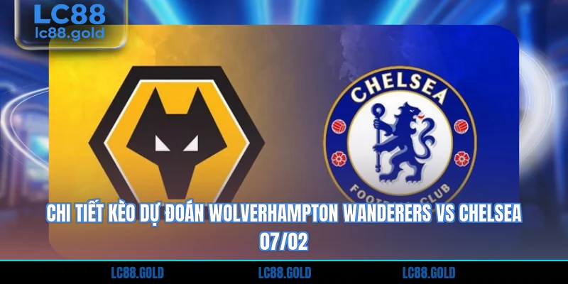 Chi tiết kèo dự Đoán Wolverhampton Wanderers Vs Chelsea 07/02