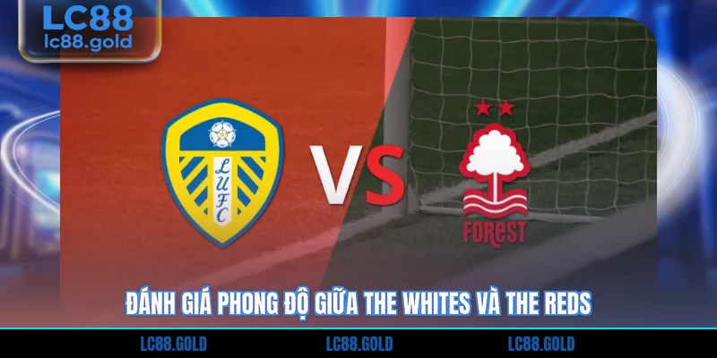 Đánh giá phong độ giữa The Whites và The Reds